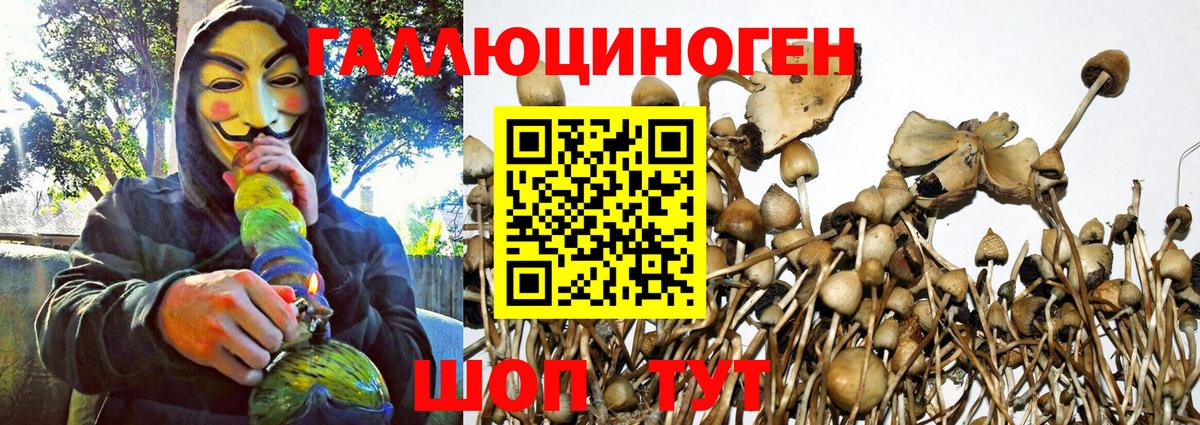 Псилоцибиновые грибы Magic Shrooms Курган